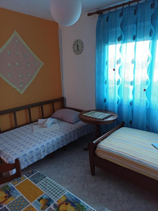 Case de vacanță Holiday